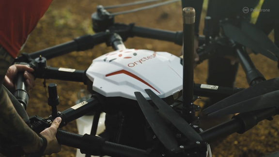 Poladrone Testimonials  Sime Darby Plantations  Increasing yields with Oryctes